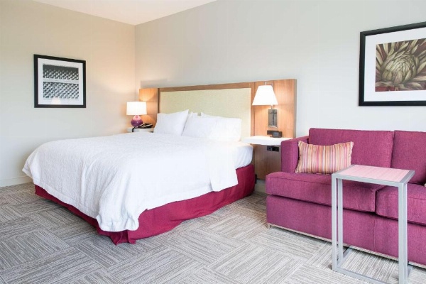 Hampton Inn By Hilton & Suites Fayetteville, Nc image 21